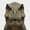ztty's profile picture