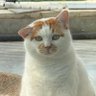 Profilbild von 发哥