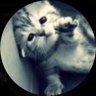 Profilbild von shane
