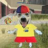 DaVin's profile picture