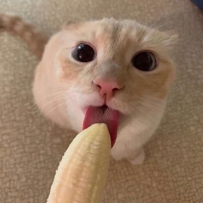 Skywlvk's profile picture