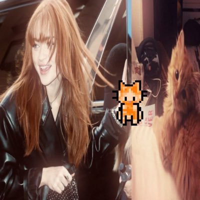 spikefawn's profile picture