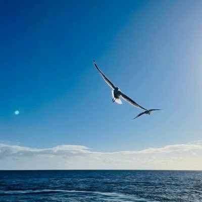 William889d's profile picture