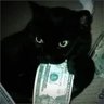 toriset's profile picture