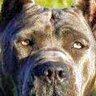 Profilbild von Joe Stuff