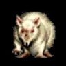 Фото профиля Giga rat
