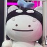 รอตอภอ ✨'s profile picture