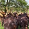 mwiza Umutesi profil fotoğrafı