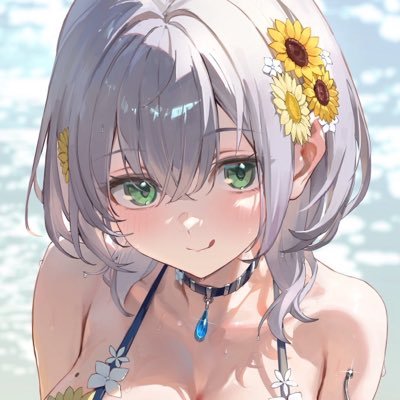 白銀ノエル⚔️ホロライブ3期生's profile picture