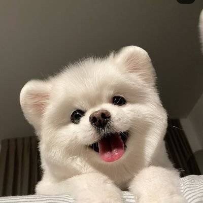 ༘ ꒰ แฟนต้า เด กัสโตร ꒱ ༘'s profile picture