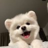 ༘ ꒰ แฟนต้า เด กัสโตร ꒱ ༘ 的头像