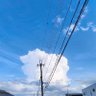 無電 profil fotoğrafı