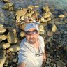 كائن الزواوي's profile picture