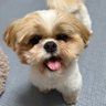 박종민's profile picture