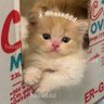 ทุกคนมีภาระ profil fotoğrafı