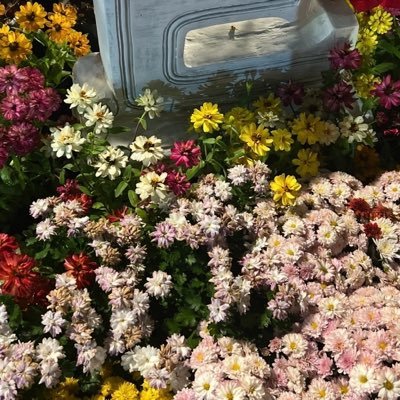 🖤's profile picture