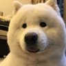 Profilbild von 白岳