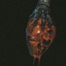 Profilbild von Infini8