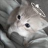 mo profil fotoğrafı
