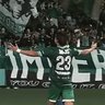 きなさか/verdy 的头像