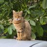 IvanaParodija profil fotoğrafı