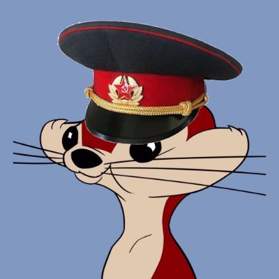 Borča🇨🇳🇷🇺's profile picture