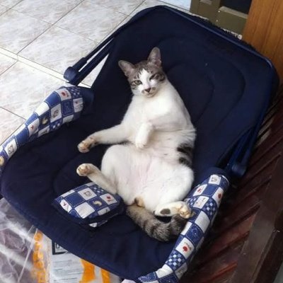 tewjaaa's profile picture