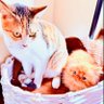 Tomoさん's profile picture