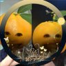 Profilbild von ⋆.˚ 𓇼 ʚїɞ สายลับ𝙿𝚕𝚊𝚖𝚞𝚎𝚔 ॱଳ͘ॱᵕ̈