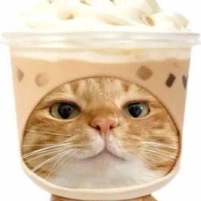 ชาเย้นหวาน ○% ˆ.ˬ.ˆ🌈✨️'s profile picture