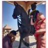 NR Choudhary profil fotoğrafı