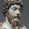 Marcus's profile picture