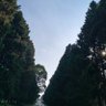 Фото профиля Kanda Ya Kianwe