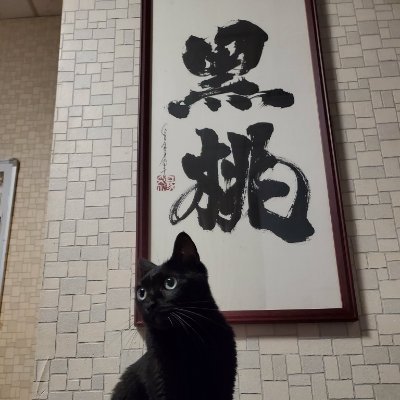 pitt9244's profile picture