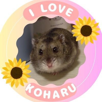 咲来（サラ）🍏🐹💕's profile picture