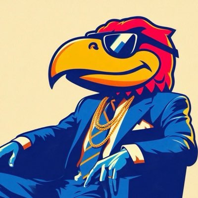 jayhawk lasso's profile picture
