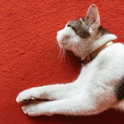 butt.sweet's profile picture