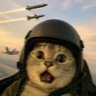 DarkModeMind's profile picture