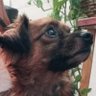PAR | Zando profil fotoğrafı