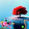 faisal khan's profile picture