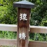 Profilbild von やどかり(アンインストール、低浮上中)