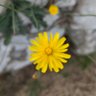 Фото профиля JohnDoe09