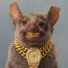 Krampus profil fotoğrafı