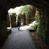 ポンスケ2号 的头像