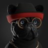 carter profil fotoğrafı