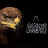 🦅باسمك اللهم🌿's profile picture