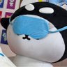 REST IN POLCAFam 💦🐻❄️'s profile picture