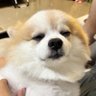 ติดหวาน 的头像