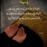 Musarrat waseem shaikh's profile picture