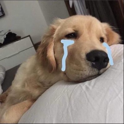 𝗯𝘁.PPNARAVIT🍼teeteepor's profile picture
